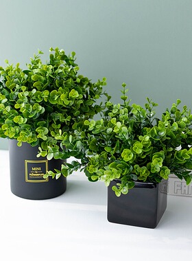 仿真绿植手感尤加利家居装饰盆栽