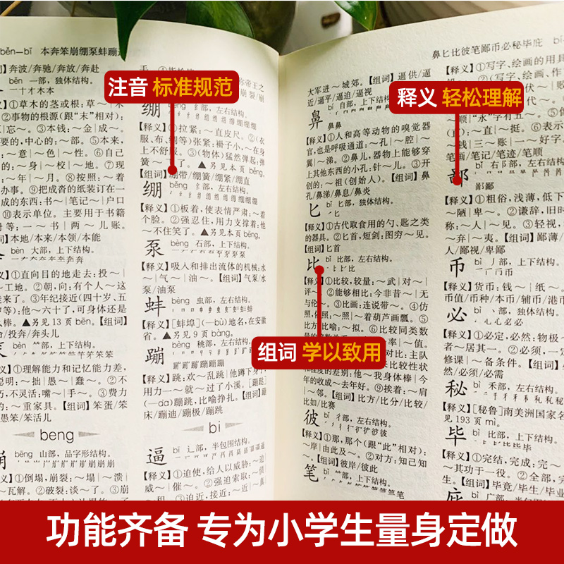 新华字典全新版正版小学生专用成语字典大全笔顺规范字典同义词近义词反义词小学生必背古诗词75首英汉双解字典词典全套功能-图2