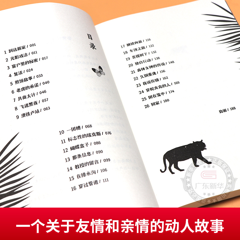 2024年广东省寒假读一本好书 神奇的虎皮地毯 琼海格著 奇幻魔法冒险故事成长励志读物小学生三四年级课外阅读书籍推荐 中信出版社 - 图1