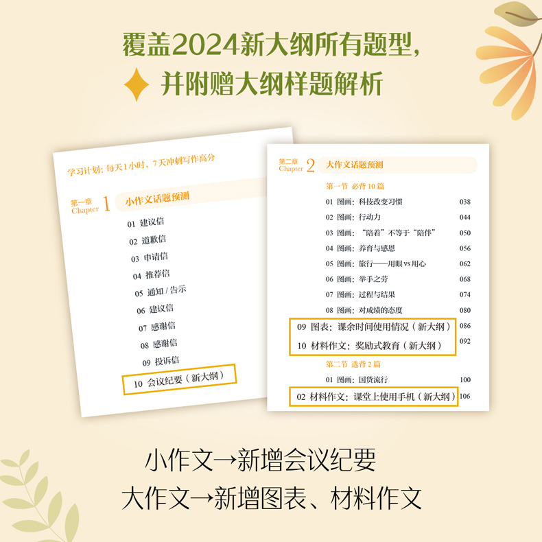 官方现货】石雷鹏2025考研英语作文冲刺背诵手册背诵20篇30个功能句25考研英语一英语二高分写作模板冲刺背诵范文高分满分模板2024 - 图1