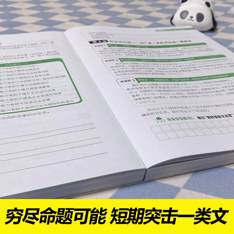 老吕指定店】2026考研 26老吕写作考前必背母题33篇 专硕199管理类联考396经济类mba mpa mpacc吕建刚综合能力 要点7讲800练6套卷 - 图2