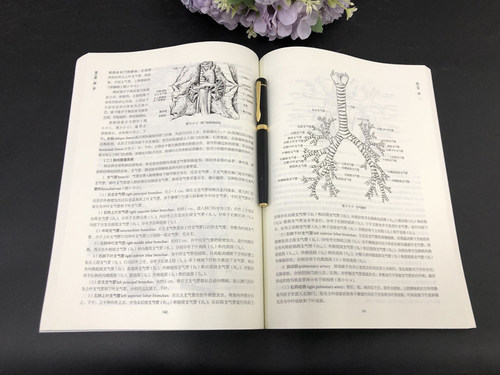 正版包邮  断层解剖学 第三版 第3版 付升旗 徐国成 高等教育出版社 全国高等学校十三五医学规划教材 临床护理等专业用 - 图2