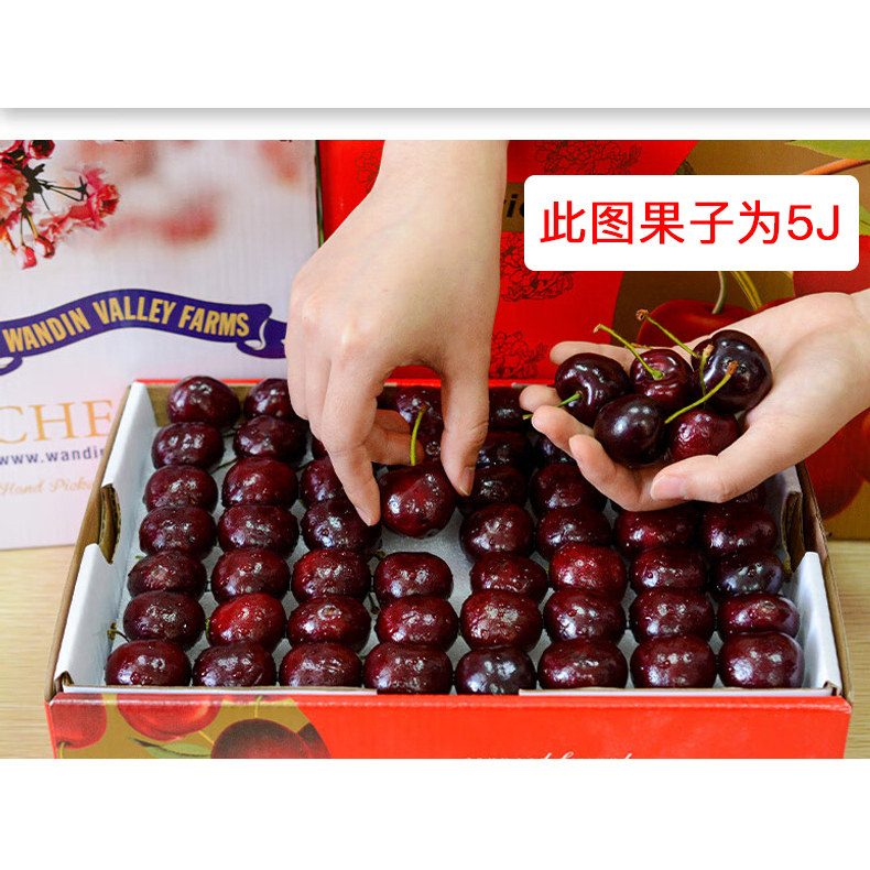 现货顺丰次日达智利J-5J进口车厘子拉宾斯新鲜水果樱桃5斤原箱,淘宝优惠券,粉丝福利购,淘宝优惠卷