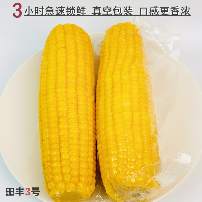 田丰3号东北黄糯玉米新鲜大棒粘黏苞米粗粮早餐健身主食真空包装,淘宝优惠券,粉丝福利购,淘宝优惠卷