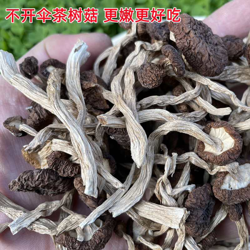 茶树菇干货特等新货不开伞修剪无根嫩茶树蘑菇香菇煲菌汤散装500g - 图1