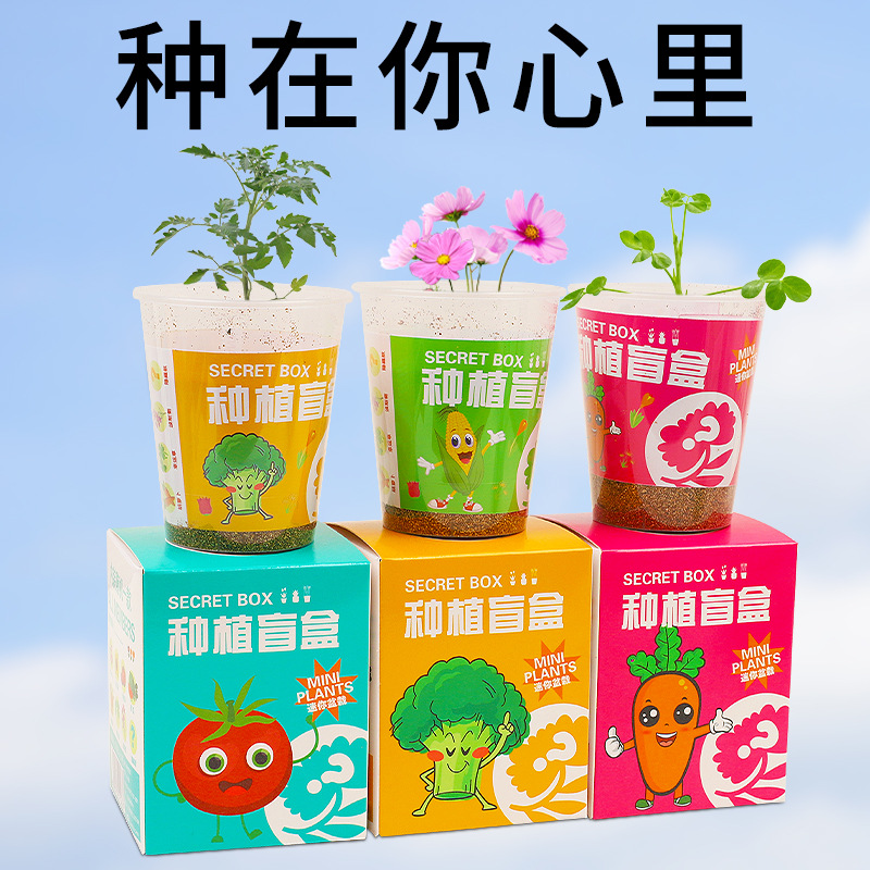 儿童种植盆栽幼儿园小学生种子观察发芽DIY迷你植物盲盒奖励礼品 - 图0