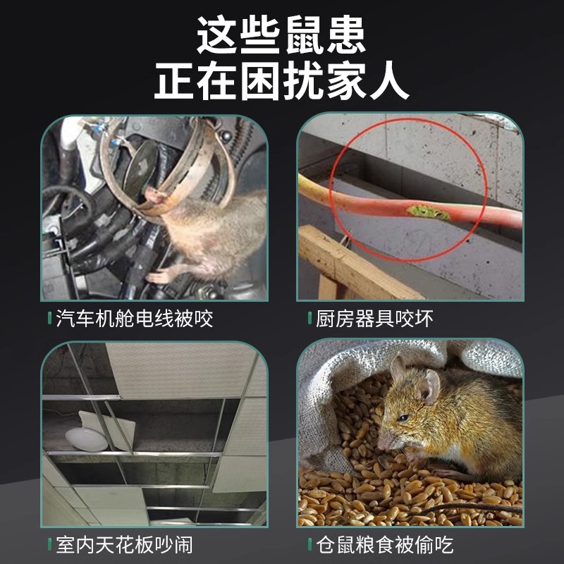 强力驱鼠丸驱虫防老鼠特效虫鼠驱避丸药发动机舱驱鼠神器去除耗子 - 图0