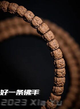 2026藏式龙切佛手五爪金龙小金刚菩提108颗手串玄武纹三日红念珠