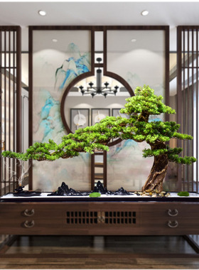 天然玄关迎客松实木招财新中式
