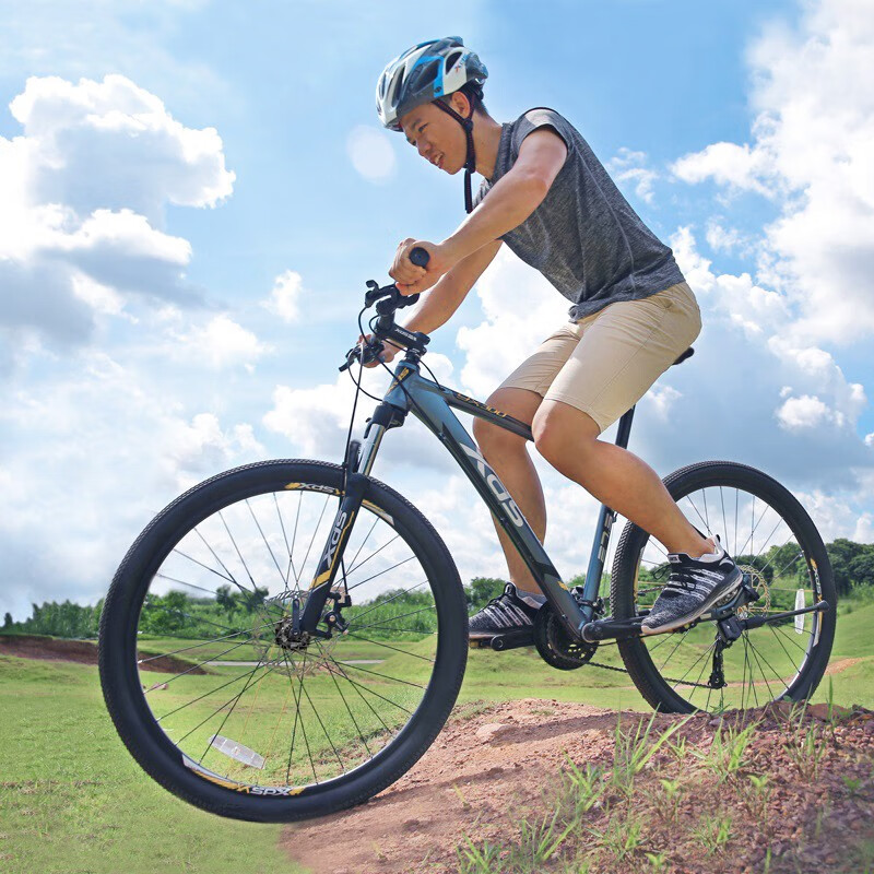 喜德盛山地英雄300青春版自行车 xds喜德盛门莱京美山地自行车