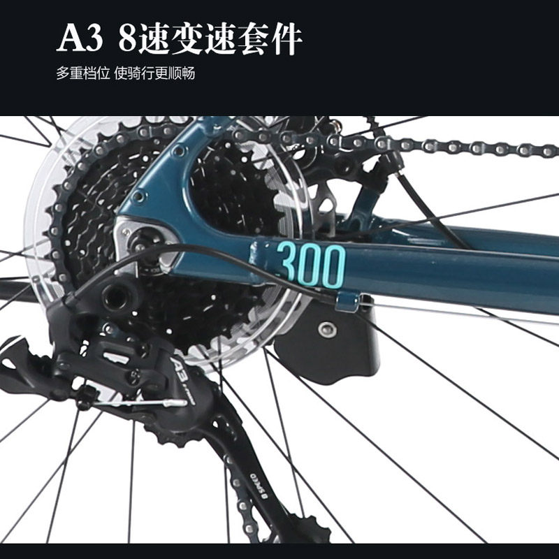 喜德盛平把公路自行车极速300花鼓 xds喜德盛门莱京美公路自行车