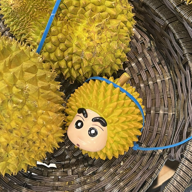 榴莲忘返五成熟cos榴莲小新潮玩手办桌面摆件机箱可爱礼物,淘宝优惠券,粉丝福利购,淘宝优惠卷