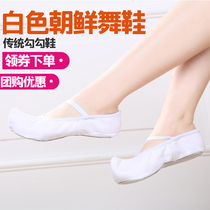 DJZJ Soft Bottom North Korean Dance Shoe White Dancing Shoes Indoor Practice Shoes Classical Dance Flat Bottom Dance Shoes Women Performance Shoes