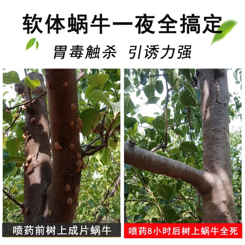 四聚乙醛蜗牛杀蜗牛专用药颗粒剂鼻涕虫蛞蝓软体虫杀虫剂菜地 - 图1