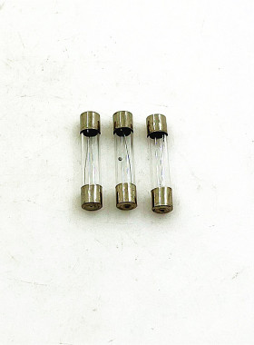 格兰仕10A250V延迟保险丝熔断器
