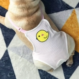 Собачья физиологические штаны, сука брюки Менструальные брюки, метод подгузников собак с борьбой с брюками Тедди тети.