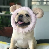 Питомец продает милый розовый милый маленький ангель