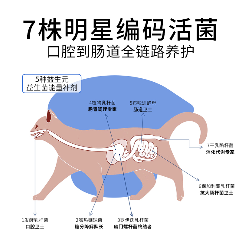 尾巴生活液体杯益生菌小蓝猫宠物羊奶猫咪零食骗水牛奶 - 图2