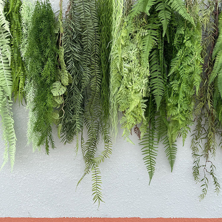 高仿真绿植挂藤蕨类波斯草吊兰垂吊背景墙森系装饰壁挂塑料假花,淘宝优惠券,粉丝福利购,淘宝优惠卷