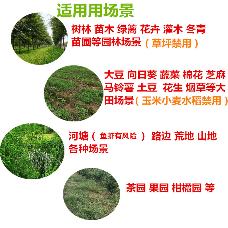 甲禾灵专杀芦苇茅草杨树园林油茶园池塘河边打牛筋草马塘除草药剂 - 图0