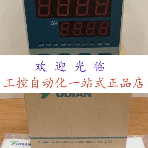 AI-7021  AL-518DL110S  AI-518D2X3L0 AI-518DL2L2S 宇电 - 图1