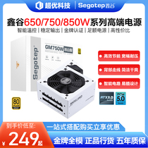 Xin Valley GN650G 750 iceberg white GM650 750850 W gold medal full module computer mute power supply AN