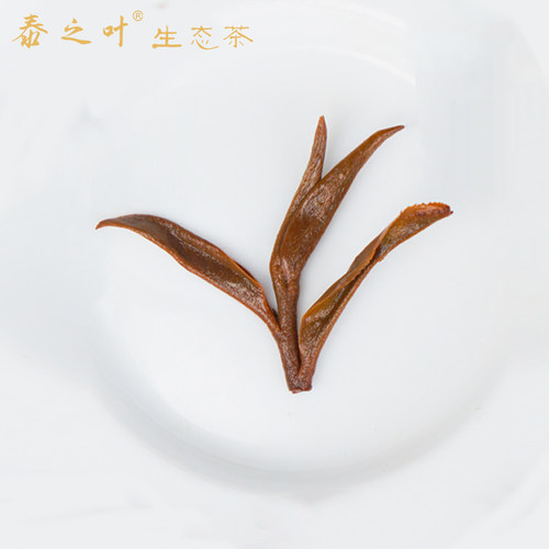泰红金骏泰顺袋装红茶自饮125g简自饮装明前嫩芽甜香味醇 - 图2