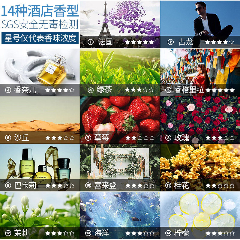 春之谊酒店家用厕所除臭自动喷香机 瓯斯达居家日用空气芳香剂