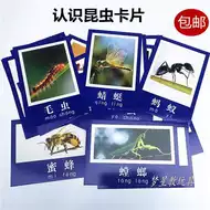 昆虫活体 新人首单立减十元 21年8月 淘宝海外