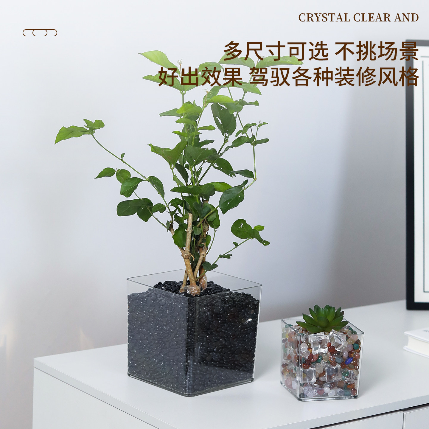 透明方形花盆水培绿植郁金香多肉花瓶方缸器皿摆件仿玻璃亚克力小,淘宝优惠券,粉丝福利购,淘宝优惠卷