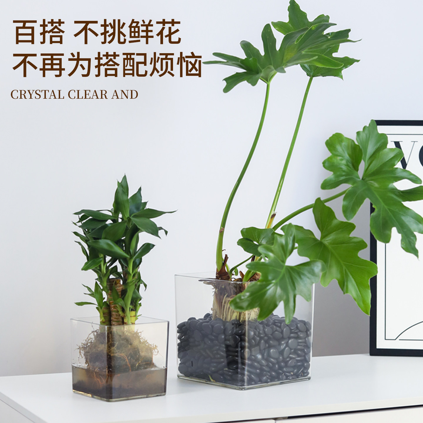 透明方形花盆水培绿植郁金香多肉花瓶方缸器皿摆件仿玻璃亚克力小,淘宝优惠券,粉丝福利购,淘宝优惠卷