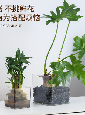 透明方形花盆水培绿植郁金香多肉花瓶方缸器皿摆件仿玻璃亚克力小