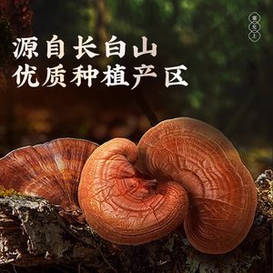 雷允上灵芝破壁孢子粉4g体验装 高三萜高多糖增强免疫力