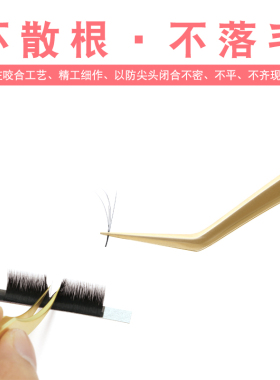 镊子种睫毛开花金羽夹