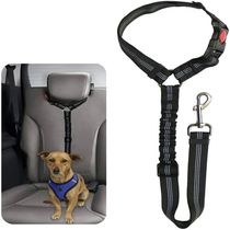 Pet products car seat belt dog leash with buffer elastic ref