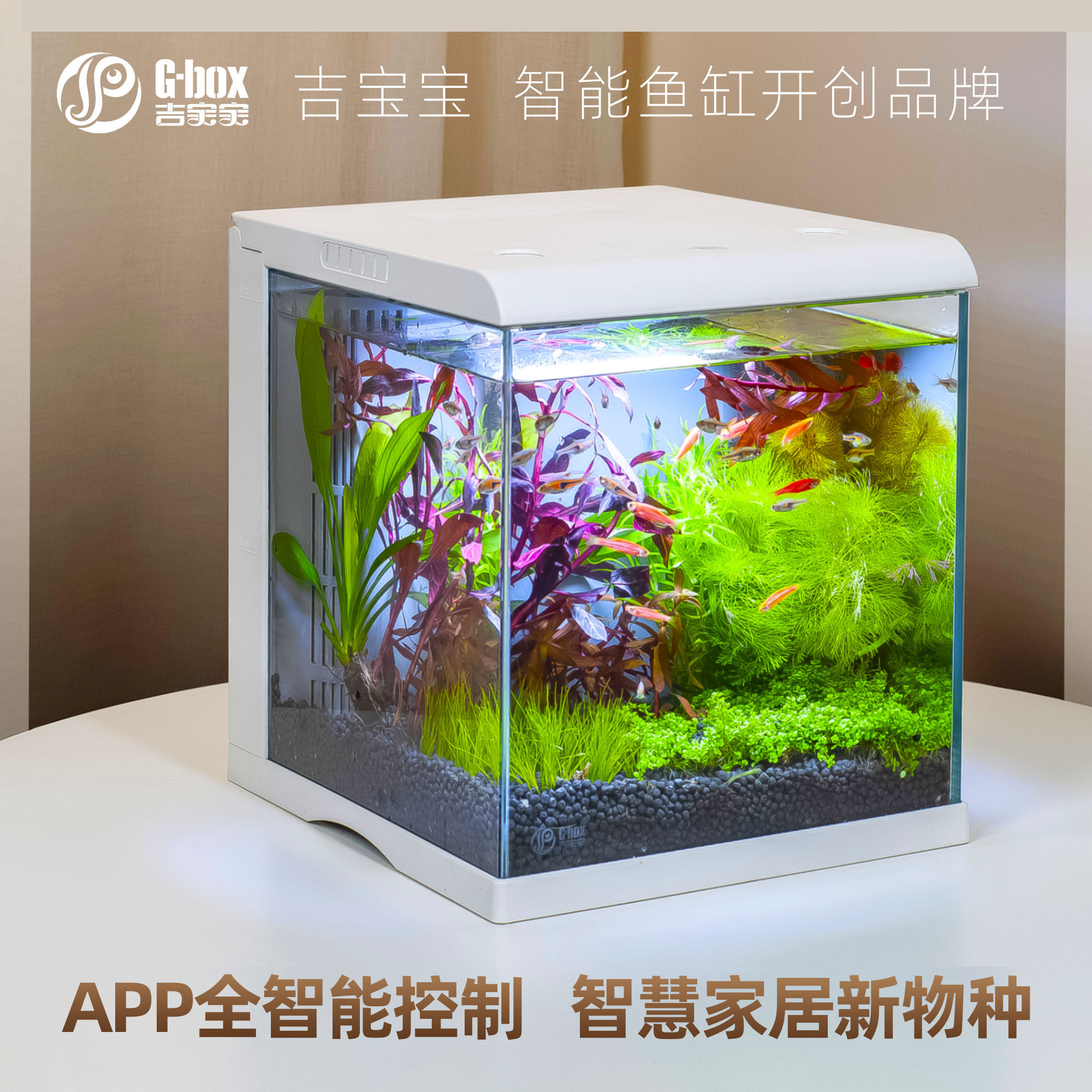 魚缸背濾拍賣商品比價 21年6月 Findprice 價格網