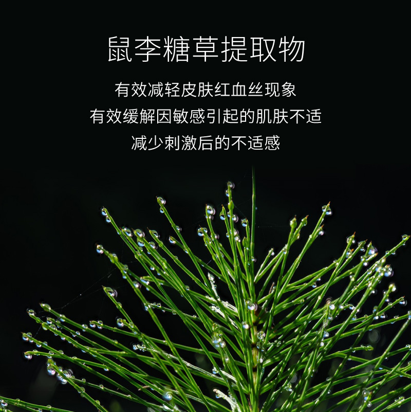 annemarieborlind安娜柏林紧致修护淡纹抗皱脸部凝胶精华50ml