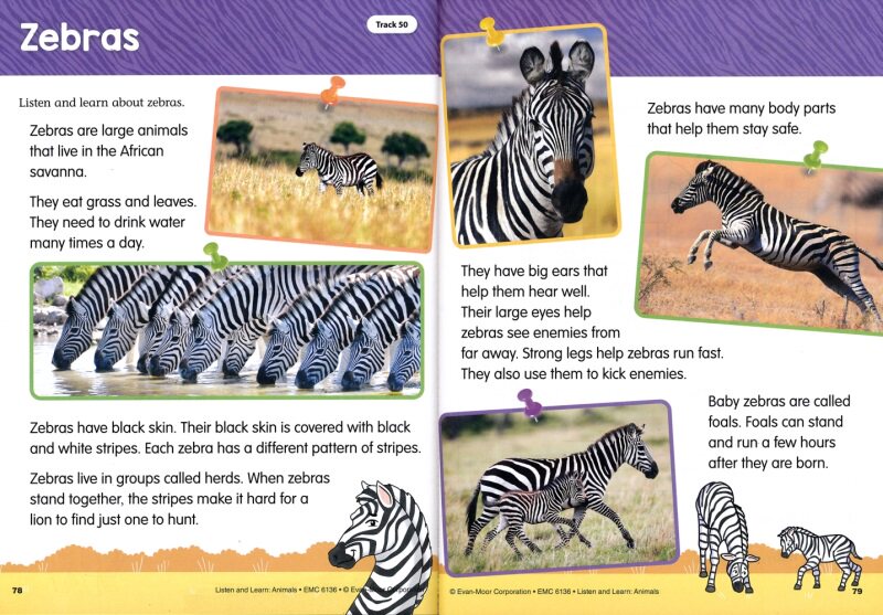 Evan-Moor Listen & Learn Animals PreK-Grade1 听故事学英语 美国加州教辅 学龄前-一年级 音频故事 趣味百科 英文原版进口图书