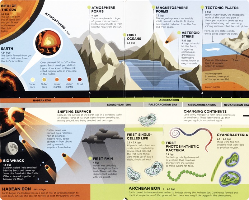 Usborne Fold-Out Timeline Of Planet Earth 可折叠的时间轴 行星地球 儿童百科知识 1.4米时间轴 英文课外读物 英文原版进口图书 - 图3