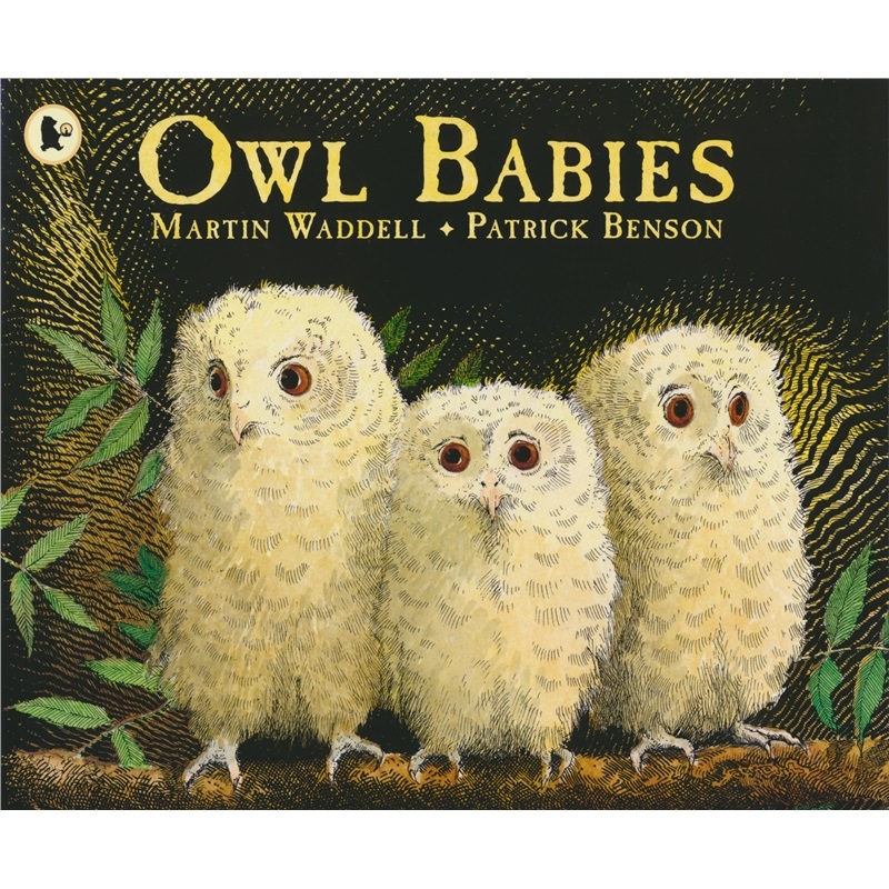 Walker Books Owl Babies 猫头鹰宝宝 英语故事绘本 全彩插图 温馨治愈 亲子读物 3-6岁 英文原版进口儿童图书 - 图3