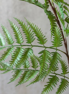 高仿真狗蕨假绿植新中式茶室