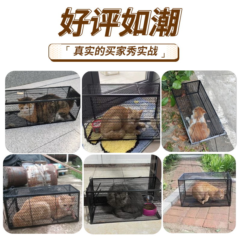 捕猫笼全自动抓猫神器大号捕猫神器抓猫笼子逮扑捉夹捉猫笼抓猫器-图1