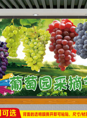 水果农场葡萄采摘园宣传广告喷绘