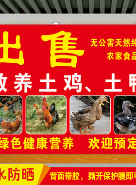 出售散养土鸡土鸭活杀现杀墙贴画