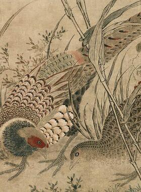 明吕纪草花野禽图花鸟画微喷仿古复制品新中式名画装饰画卷轴挂画