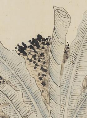 明钱仿王蒙蕉石图花鸟画微喷挂画