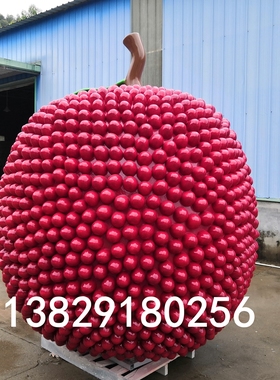 休闲旅游景区美陈玻璃钢杨梅雕塑定制大型荔枝卡通西梅IP吉祥物