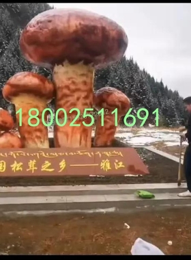定制森林公园蘑菇玻璃钢干巴菌模型仿真羊肚菌松茸雕塑摆件装饰品