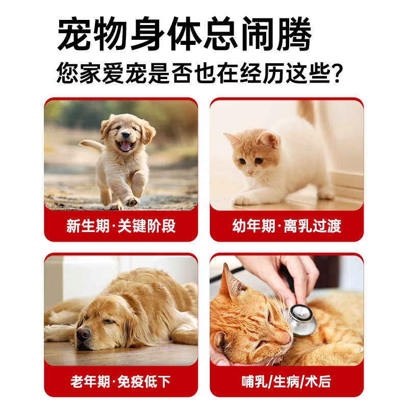 强生宠儿免疫增强膏猫咪牛初乳营养补充剂狗狗乳铁蛋白幼犬猫鼻支,淘宝优惠券,粉丝福利购,淘宝优惠卷