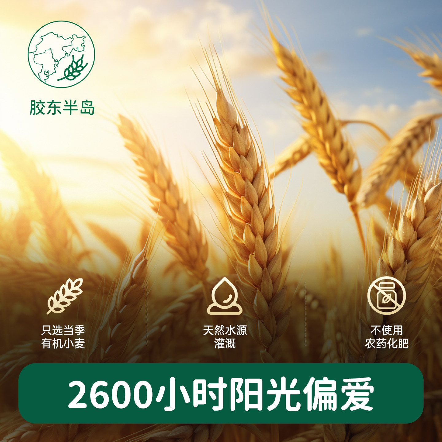 碧欧奇婴儿面条蝴蝶面宝宝营养辅食面有机线线面山药贝壳面碎碎面,淘宝优惠券,粉丝福利购,淘宝优惠卷